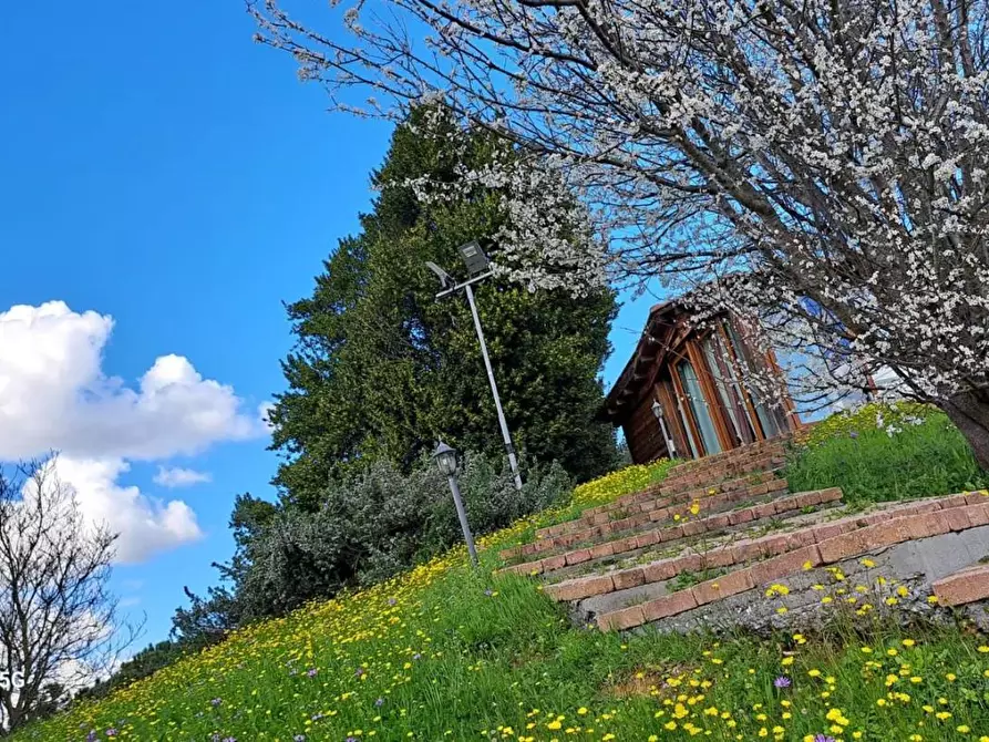 Immagine 19 di Rustico / casale in affitto  a Crespina Lorenzana