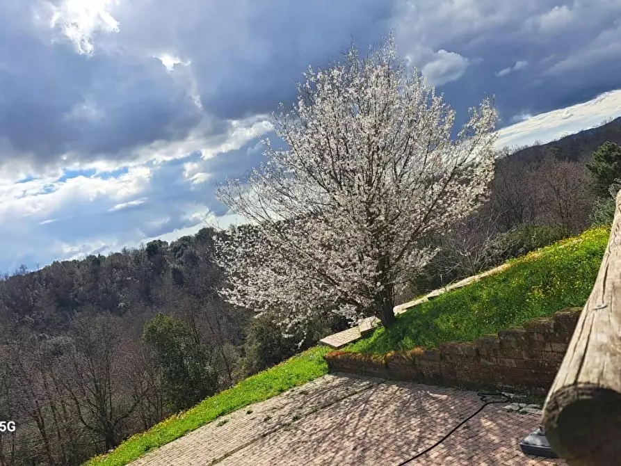 Immagine 20 di Rustico / casale in affitto  a Crespina Lorenzana