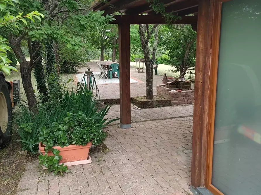 Immagine 34 di Rustico / casale in affitto  a Crespina Lorenzana
