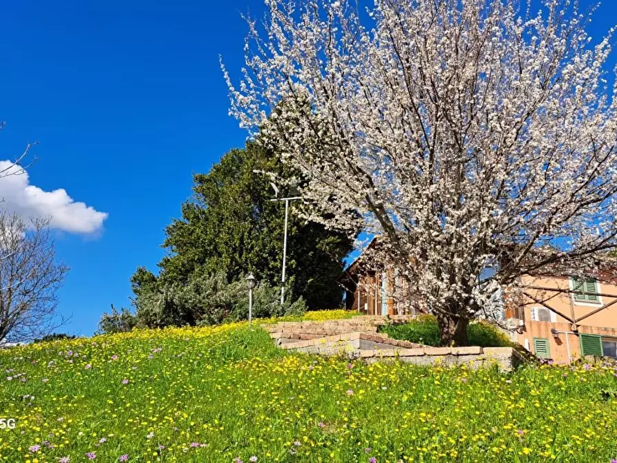 Immagine 1 di Rustico / casale in affitto  a Crespina Lorenzana