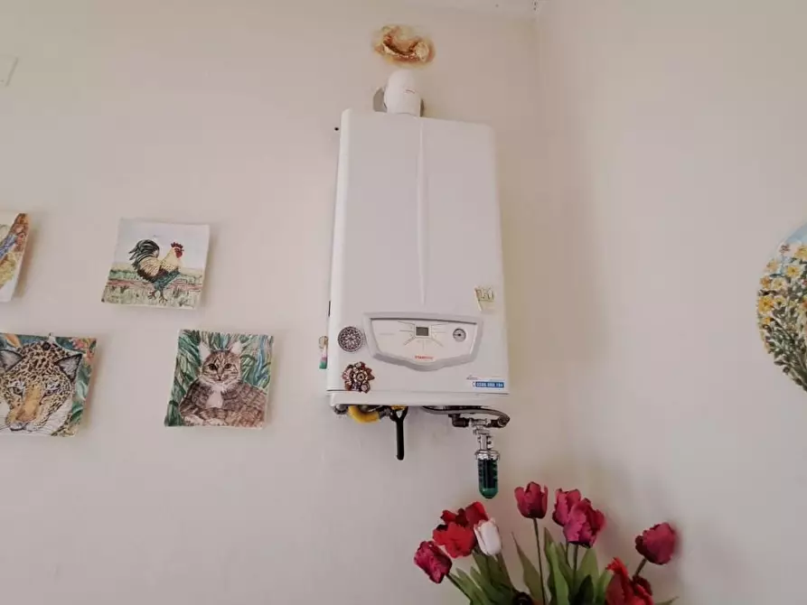 Immagine 13 di Casa bifamiliare in vendita  a Rosignano Marittimo