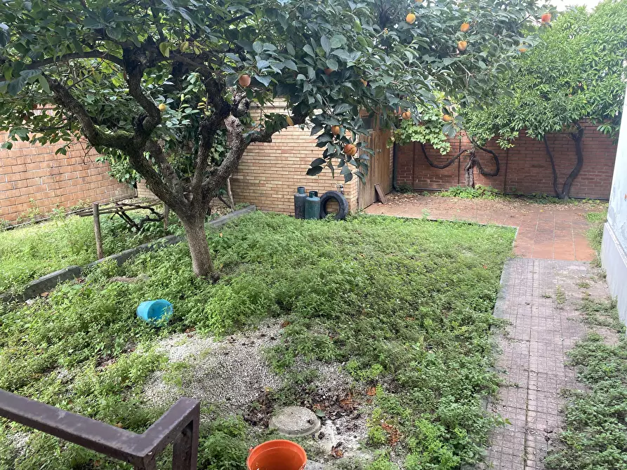 Immagine 7 di Villetta a schiera in vendita  a Viareggio