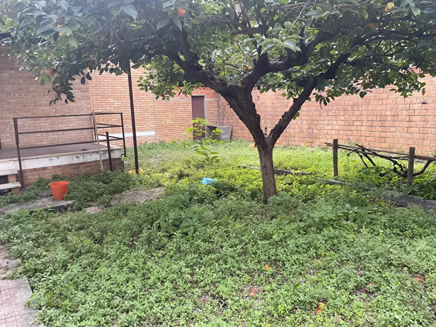 Immagine 6 di Villetta a schiera in vendita  a Viareggio