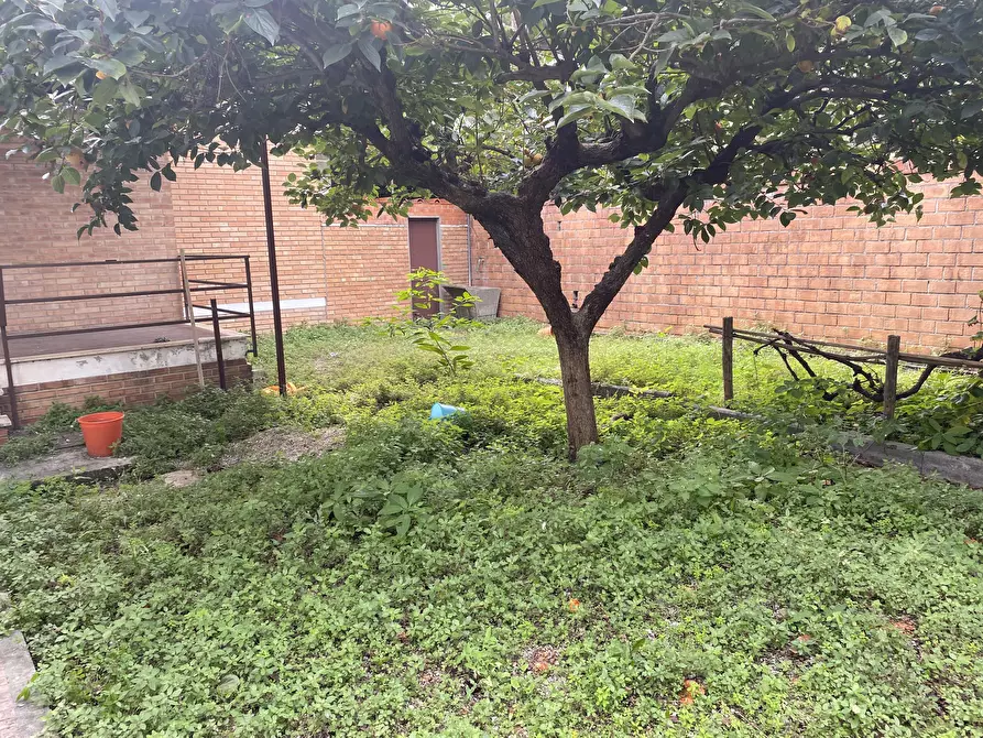 Immagine 2 di Villetta a schiera in vendita  a Viareggio