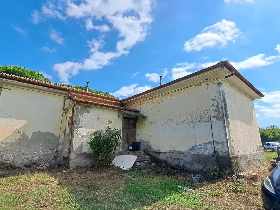 Immagine 3 di Casa indipendente in vendita  a Rosignano Marittimo