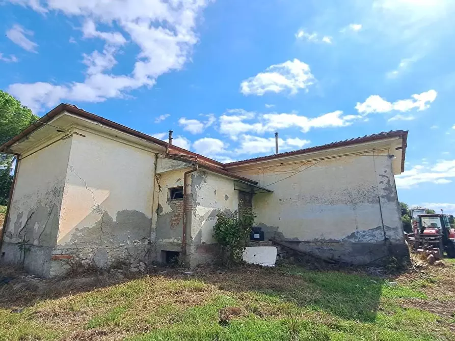 Immagine 2 di Casa indipendente in vendita  a Rosignano Marittimo