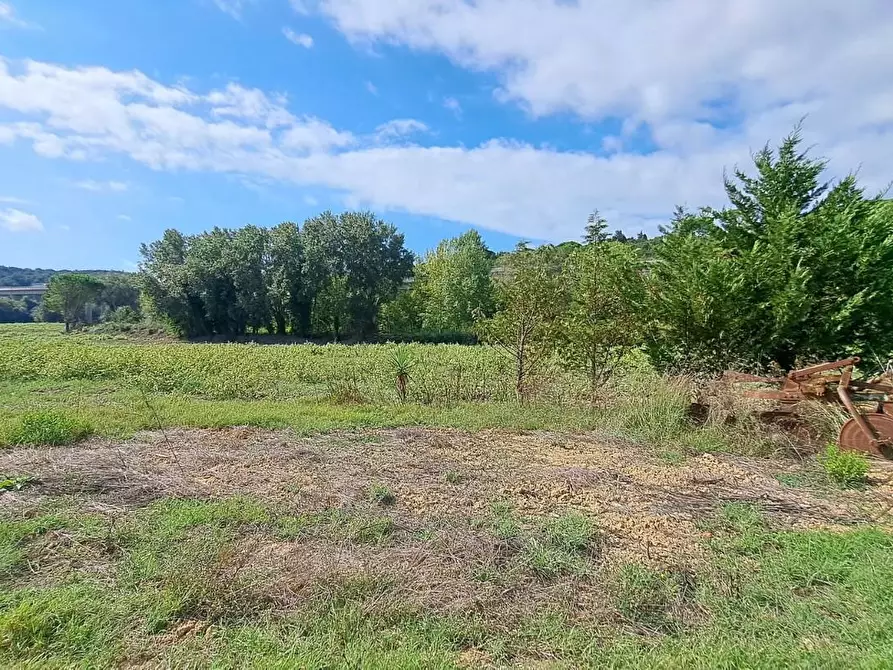 Immagine 5 di Casa indipendente in vendita  a Rosignano Marittimo