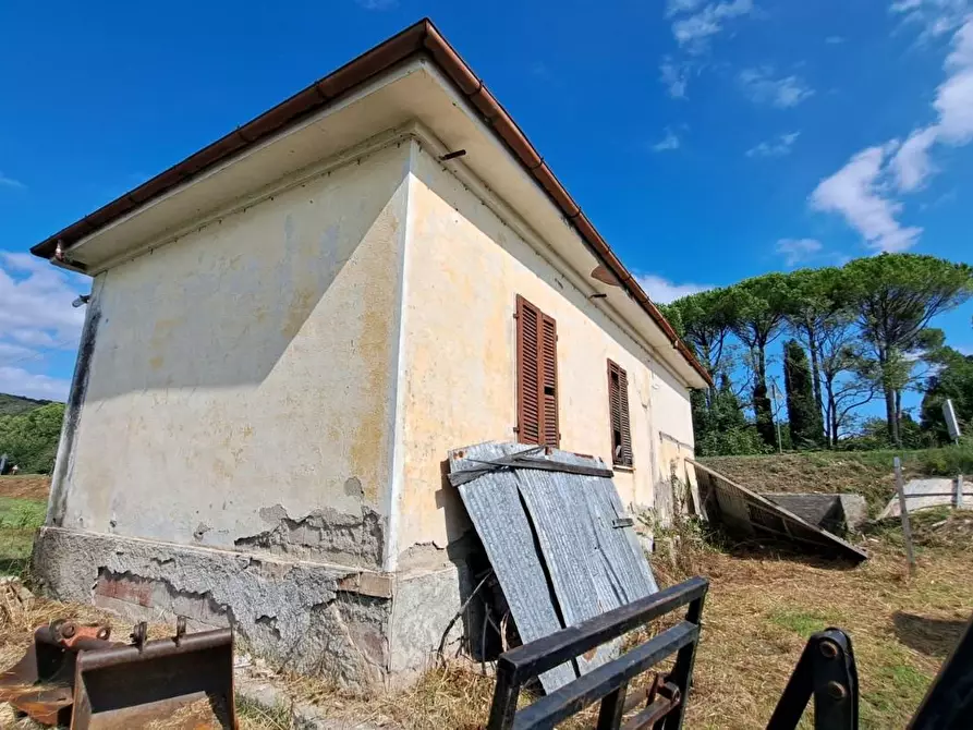 Immagine 4 di Casa indipendente in vendita  a Rosignano Marittimo