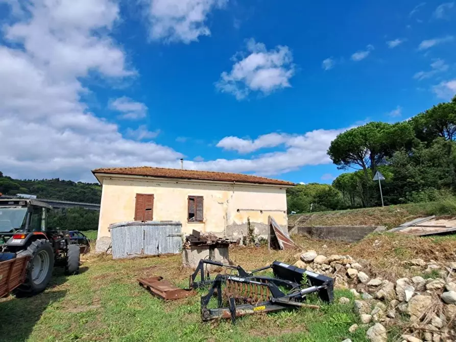 Immagine 1 di Casa indipendente in vendita  a Rosignano Marittimo