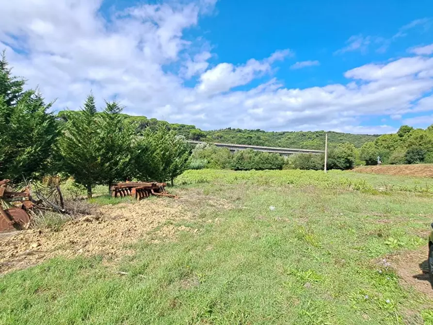 Immagine 6 di Casa indipendente in vendita  a Rosignano Marittimo