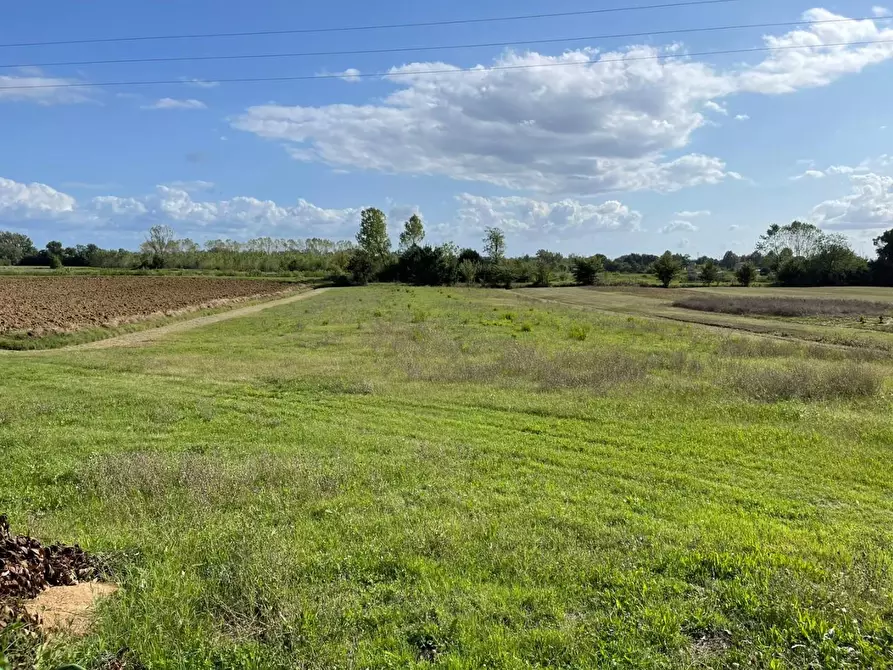 Immagine 1 di Casa indipendente in vendita  a Fucecchio