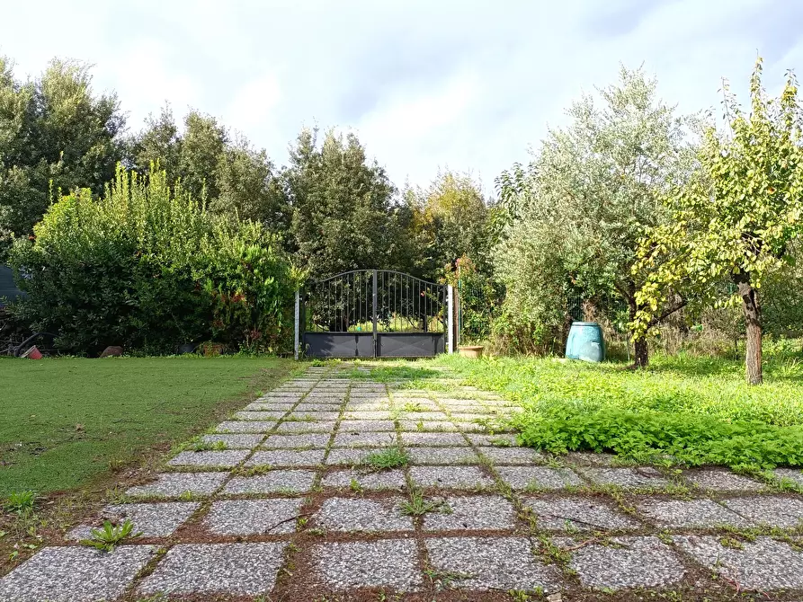 Immagine 3 di Appartamento in vendita  a Empoli