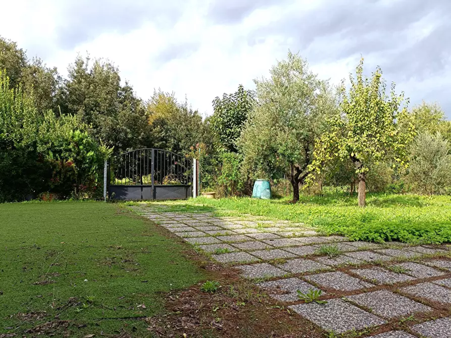 Immagine 24 di Appartamento in vendita  a Empoli