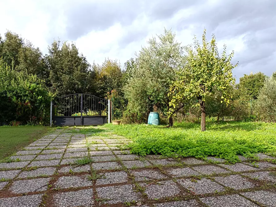 Immagine 22 di Appartamento in vendita  a Empoli