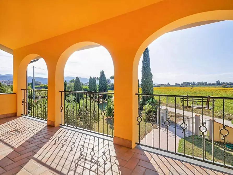 Immagine 17 di Porzione di casa in vendita  a Vecchiano