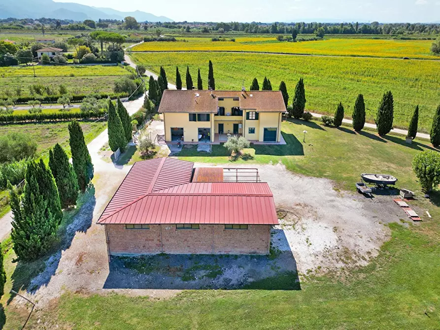 Immagine 4 di Porzione di casa in vendita  a Vecchiano