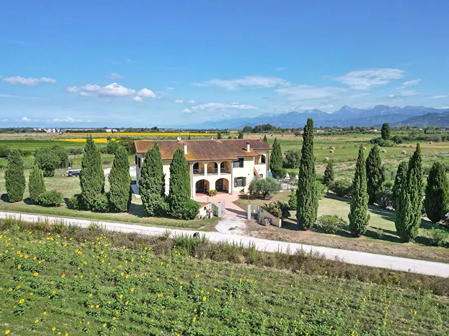 Immagine 2 di Porzione di casa in vendita  a Vecchiano