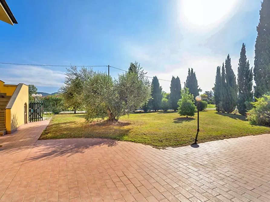 Immagine 11 di Porzione di casa in vendita  a Vecchiano