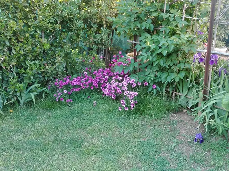 Immagine 10 di Appartamento in affitto  a Carrara