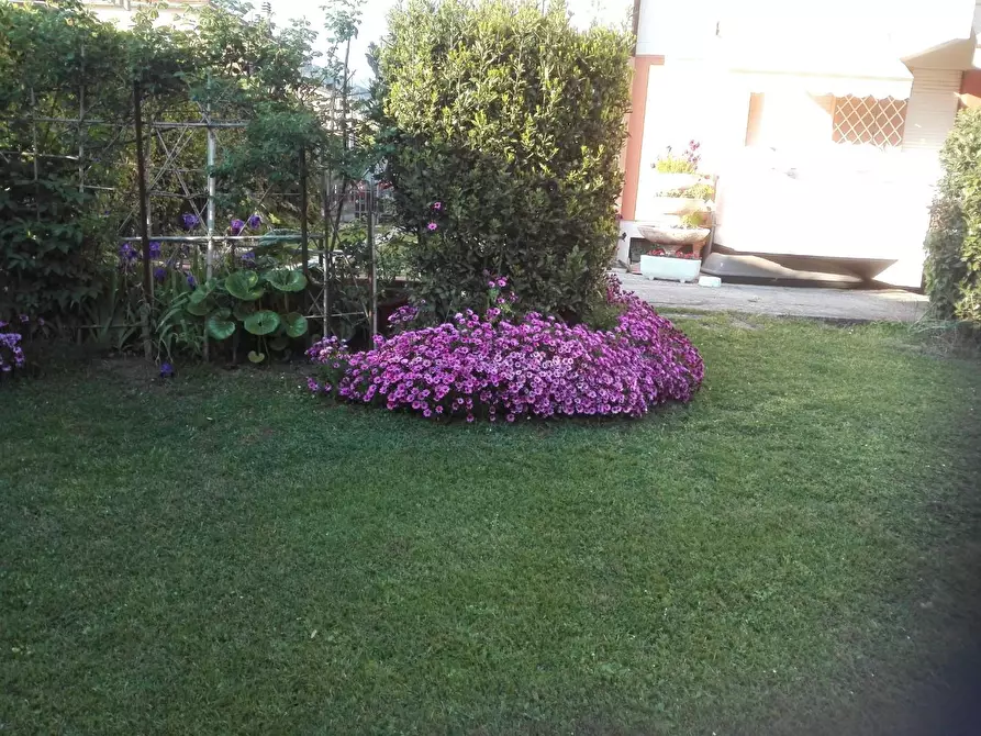 Immagine 2 di Appartamento in affitto  a Carrara