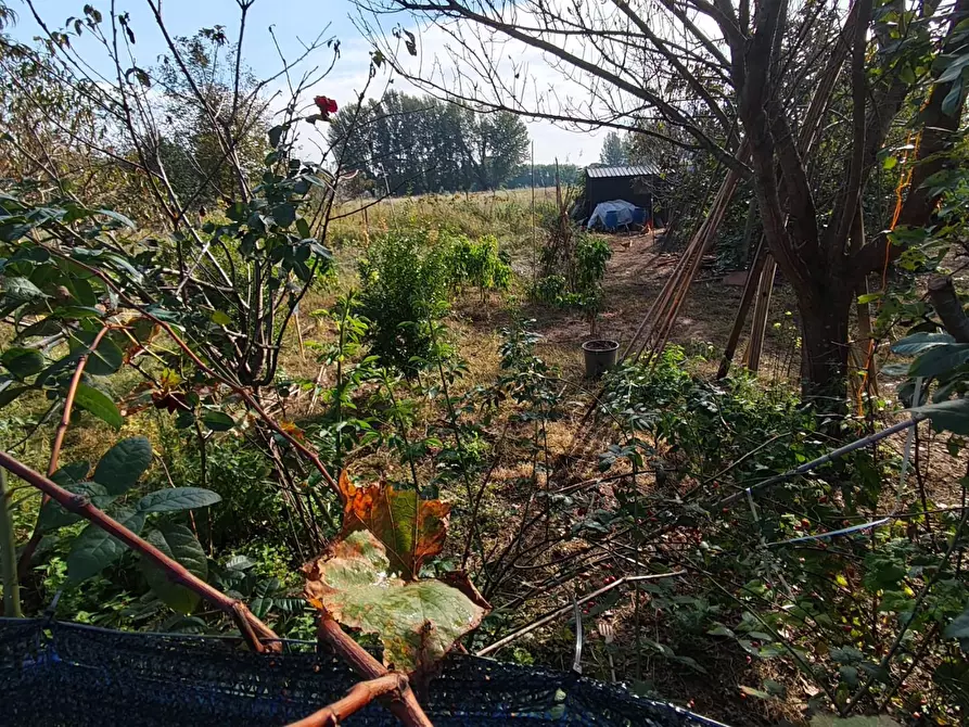 Immagine 14 di Deposito in vendita  a Lucca