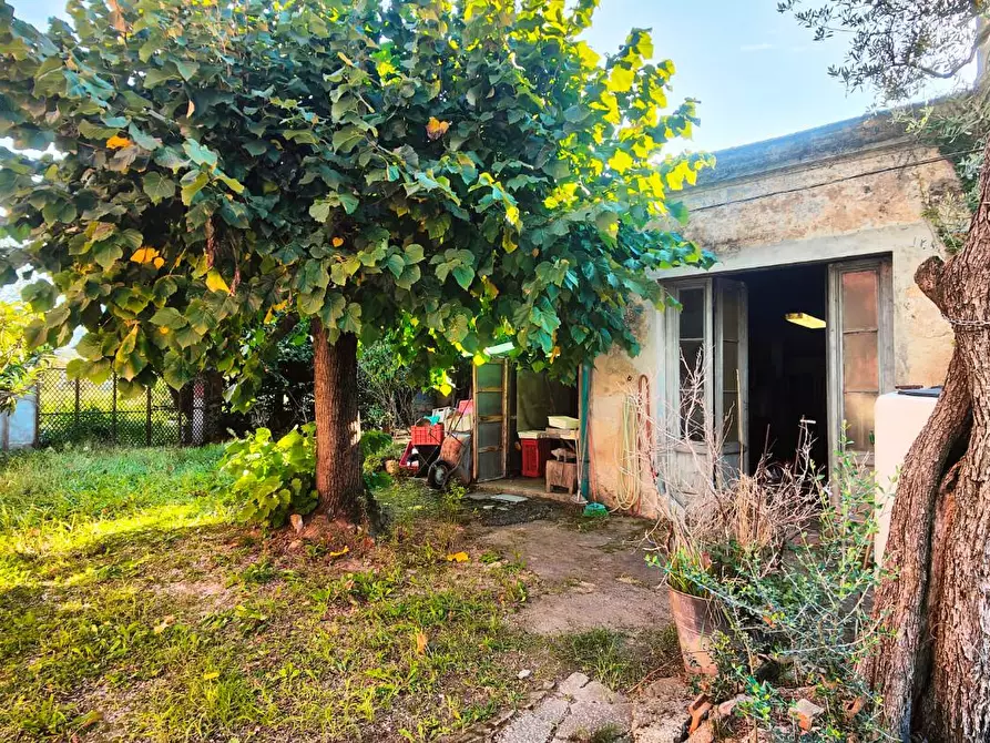 Immagine 12 di Terratetto in vendita  a San Giuliano Terme