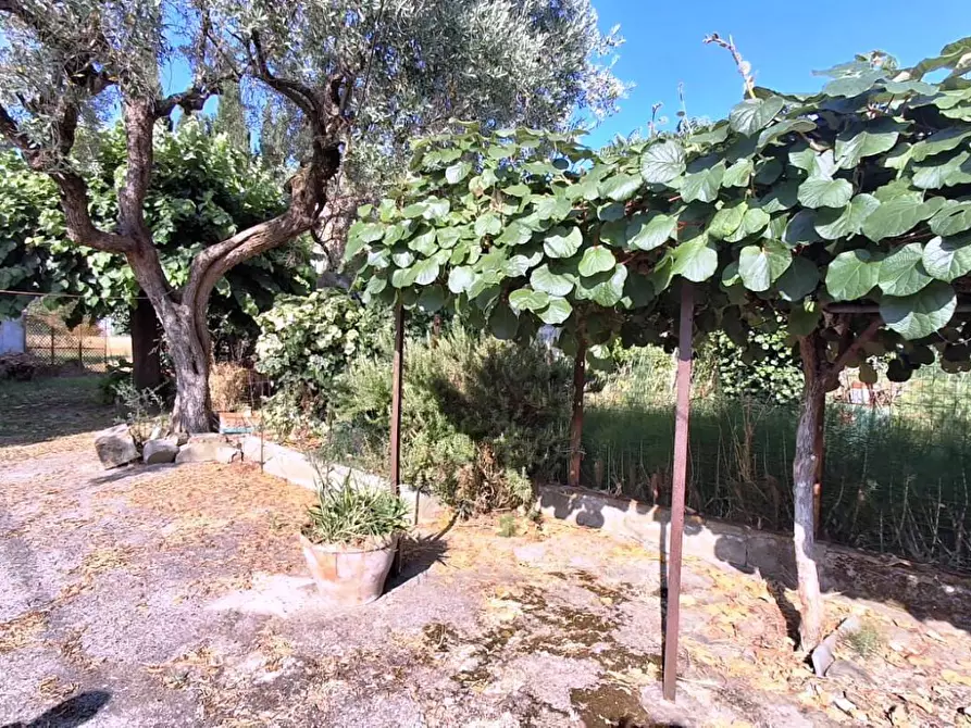 Immagine 10 di Terratetto in vendita  a San Giuliano Terme