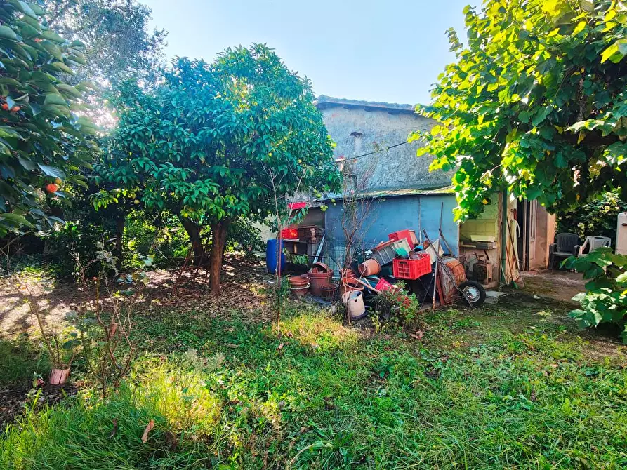 Immagine 25 di Terratetto in vendita  a San Giuliano Terme