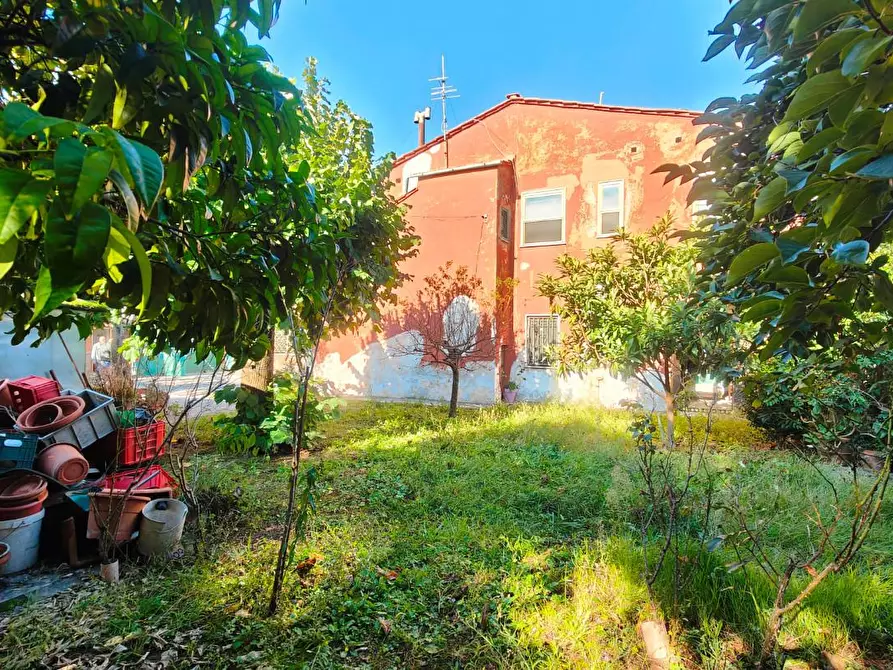 Immagine 27 di Terratetto in vendita  a San Giuliano Terme