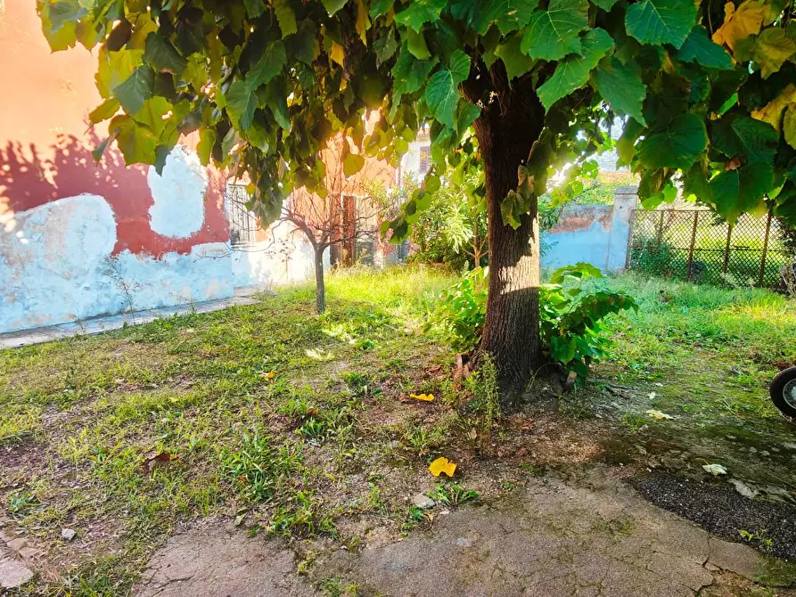 Immagine 7 di Terratetto in vendita  a San Giuliano Terme