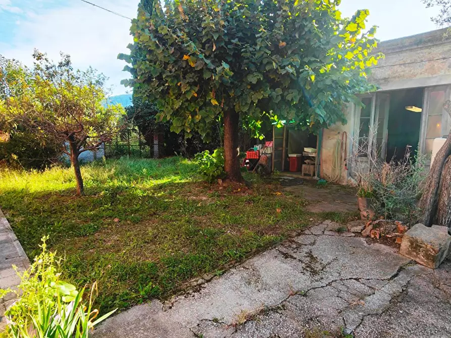 Immagine 14 di Terratetto in vendita  a San Giuliano Terme