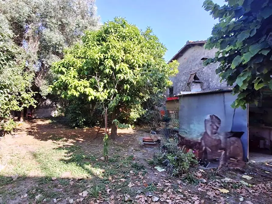 Immagine 6 di Terratetto in vendita  a San Giuliano Terme