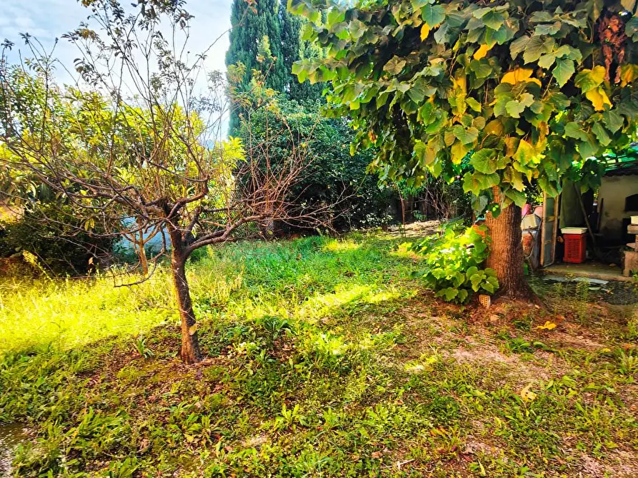 Immagine 8 di Terratetto in vendita  a San Giuliano Terme