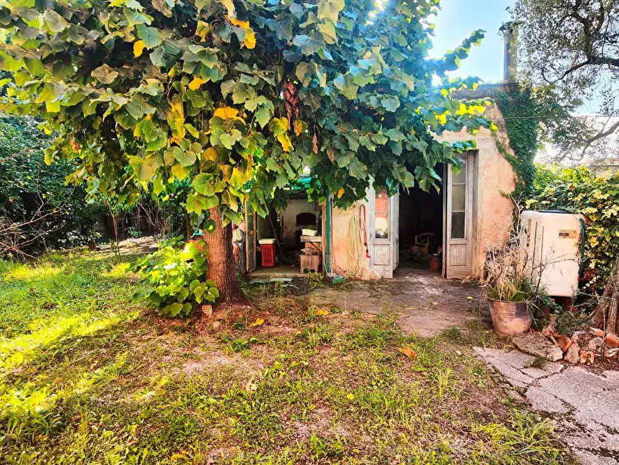 Immagine 13 di Terratetto in vendita  a San Giuliano Terme