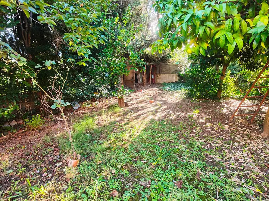 Immagine 26 di Terratetto in vendita  a San Giuliano Terme