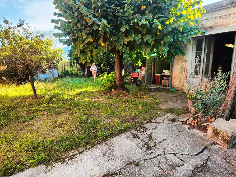 Immagine 11 di Terratetto in vendita  a San Giuliano Terme