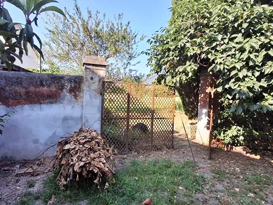 Immagine 3 di Terratetto in vendita  a San Giuliano Terme