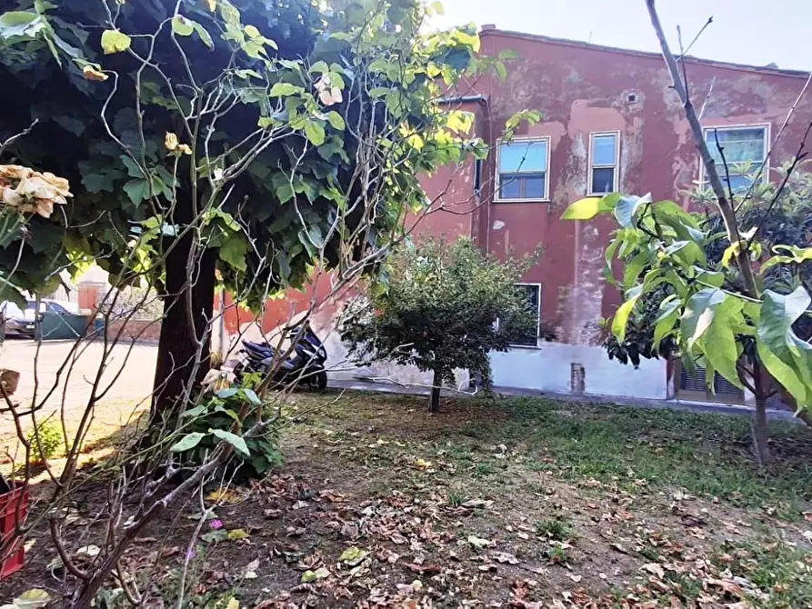 Immagine 2 di Terratetto in vendita  a San Giuliano Terme