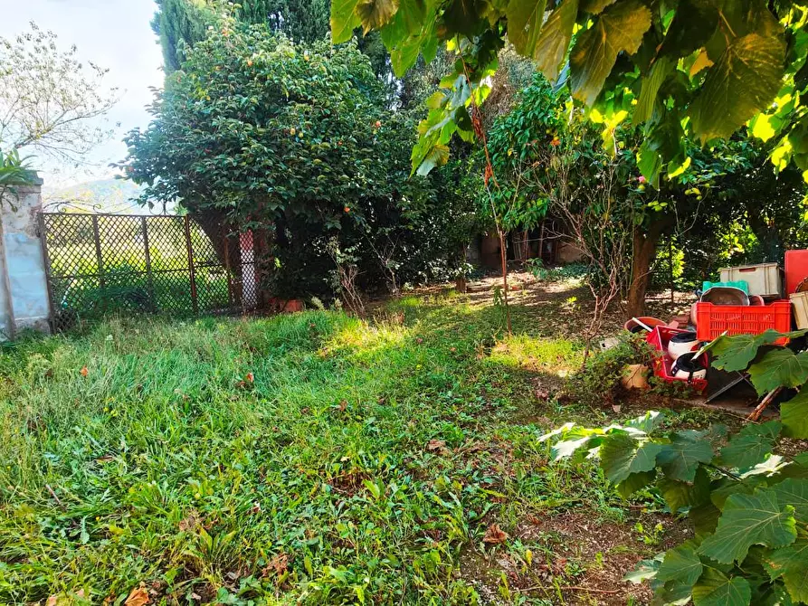 Immagine 4 di Terratetto in vendita  a San Giuliano Terme