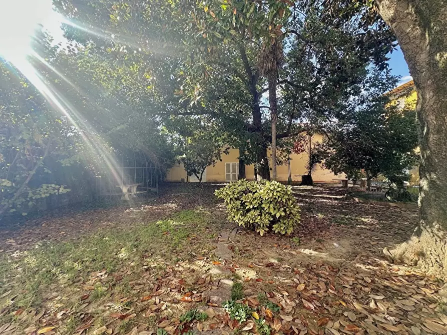 Immagine 30 di Casa bifamiliare in vendita  a Pietrasanta