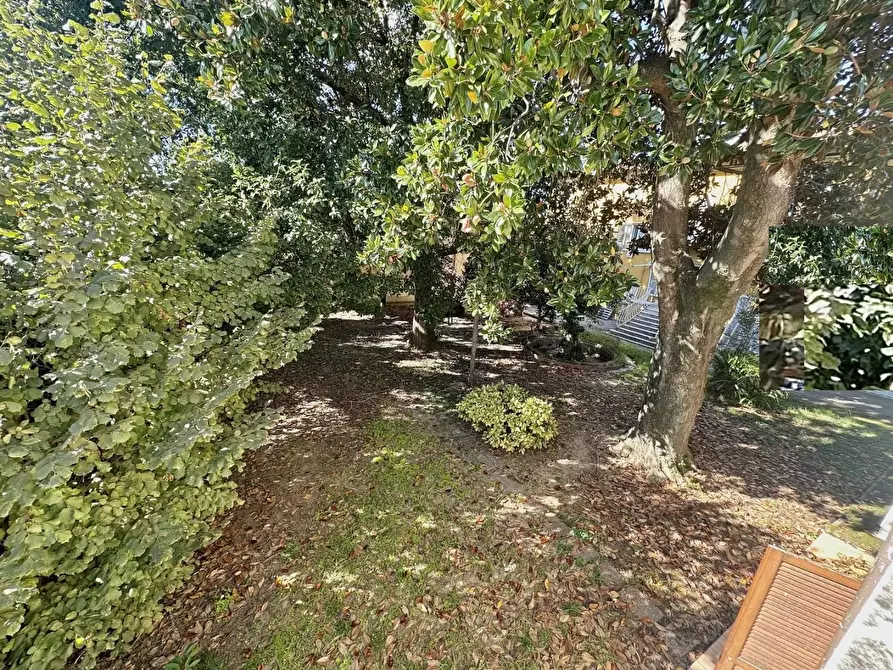 Immagine 26 di Casa bifamiliare in vendita  a Pietrasanta