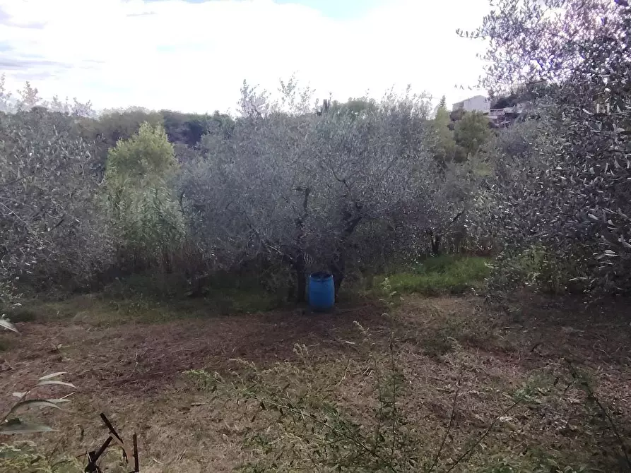 Immagine 11 di Casa indipendente in vendita  a Santa Maria A Monte