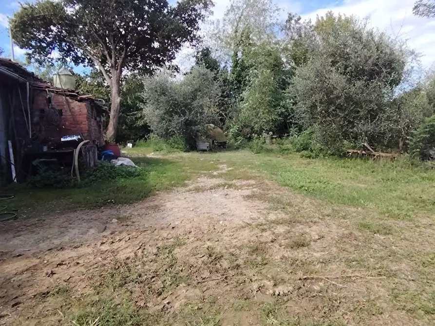 Immagine 10 di Casa indipendente in vendita  a Santa Maria A Monte