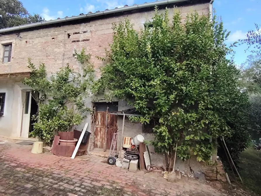 Immagine 4 di Casa indipendente in vendita  a Santa Maria A Monte