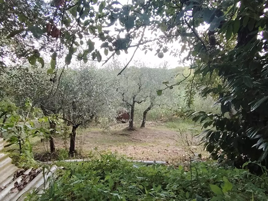 Immagine 12 di Casa indipendente in vendita  a Santa Maria A Monte