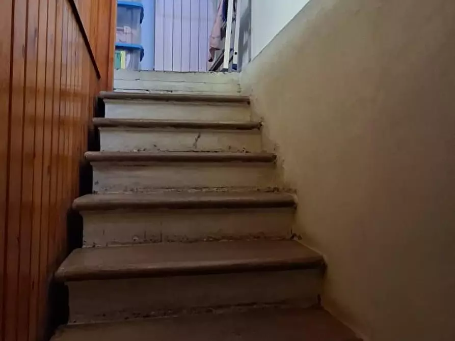 Immagine 19 di Terratetto in vendita  a Terricciola