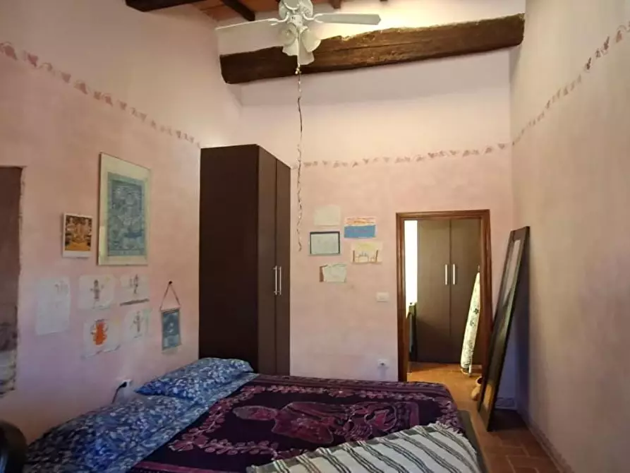 Immagine 12 di Terratetto in vendita  a Terricciola