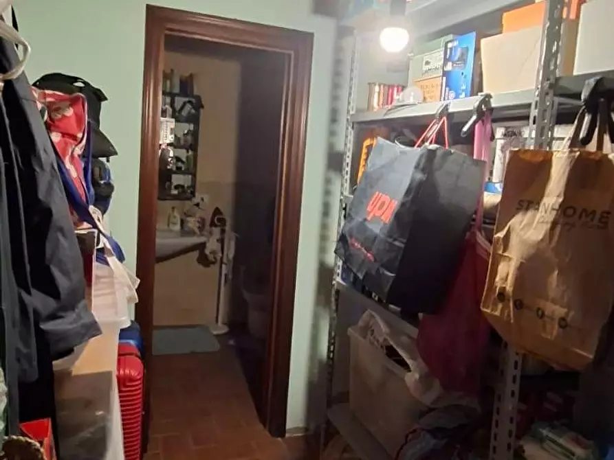 Immagine 20 di Terratetto in vendita  a Terricciola