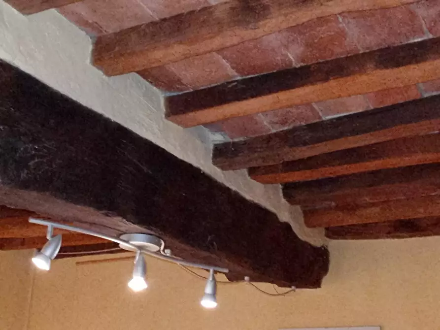 Immagine 9 di Terratetto in vendita  a Terricciola