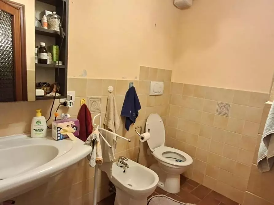 Immagine 16 di Terratetto in vendita  a Terricciola